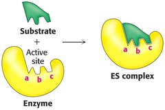 LA program orientation