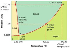 AP Chemistry Intermolecular forces