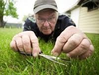 American High School Vocabulary