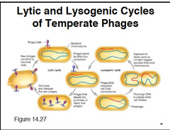 Biology