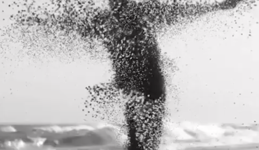 Capture d’écran 2023-11-20 à 16.11.52.png