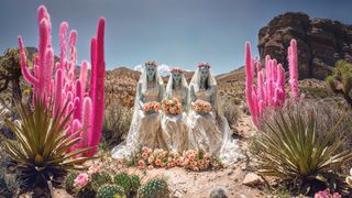 ARNAUD TEMPLIER - PANO.jpg