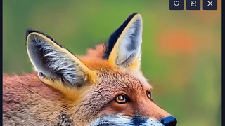Craiyon_photo_model_fox_in_a_park_surrounded_by_nature_and_colorful_wildflowers_8059a50cf5.png