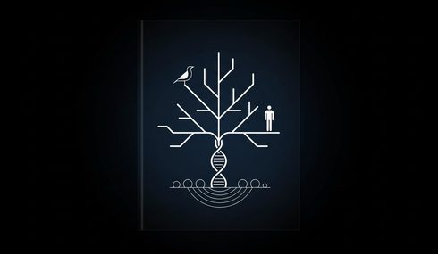 Evolutionary Biology