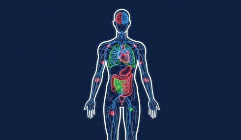 Physiology
