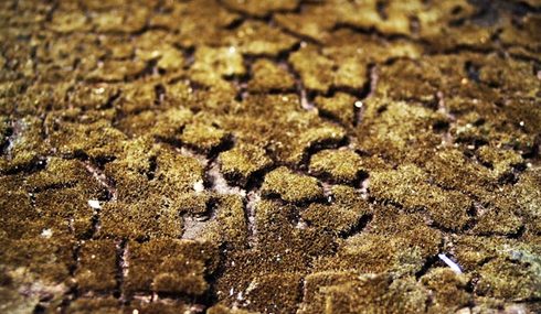 Historical Geology: Earth's Past Through Time