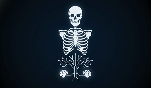 Human Anatomy