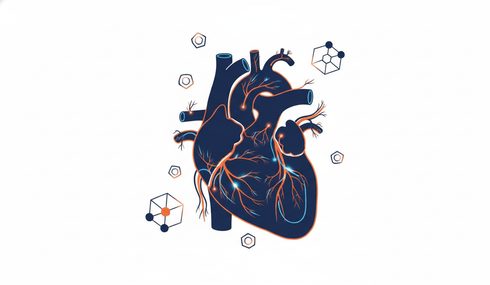 Human Physiology