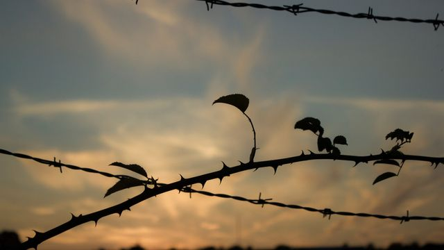 Quand la violence se fait au nom du droit