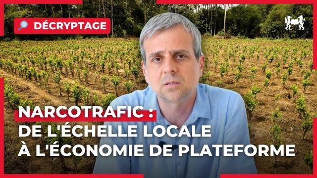 Narcotrafic : de l'échelle locale à l'économie de plateforme