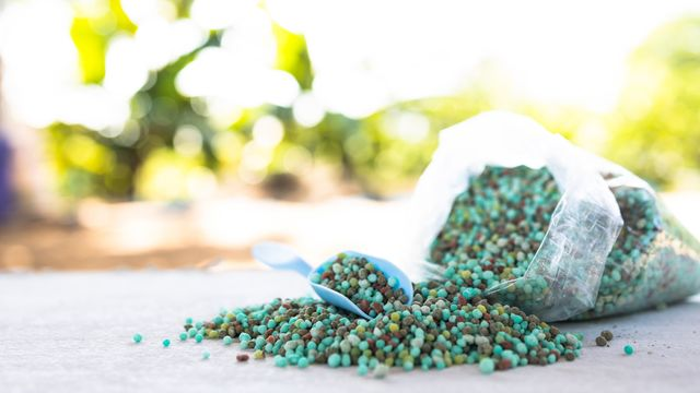 Agriculture : les leçons du détroit d’Ormuz