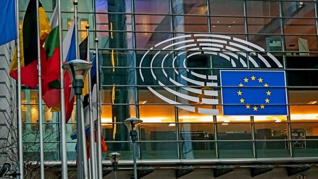 EU Elections: Far-Right Parties Surge, But Less Than Had Been&nbsp;Expected