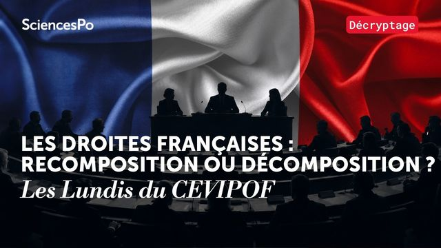 Miniature de la vidéo