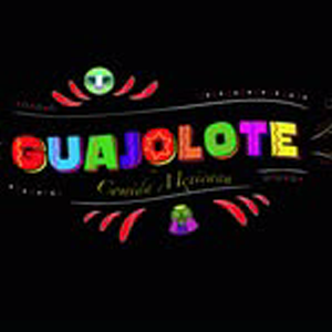 Guajolote Comida Mexicana
