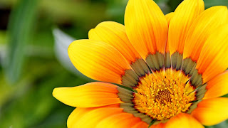7 Things Mindful People Do