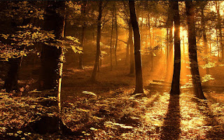 Energy Management = Time Management. Become more aware of your energy and what it is telling you.