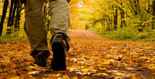 Have Fun Getting Greater Vitality Through Meditation, Mindfullness & Motion