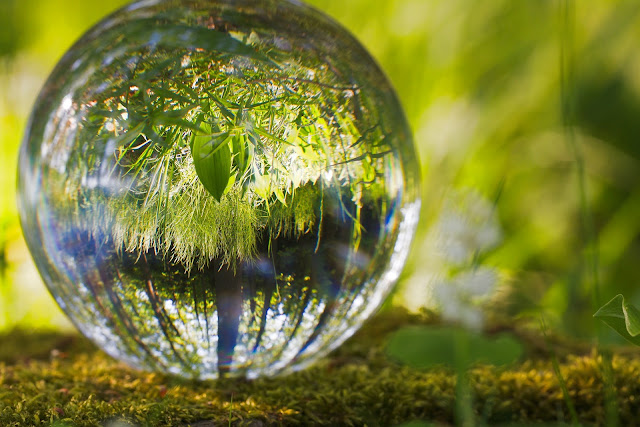 Cognitive Reframing & Authentic Wisdom - Free Weakening Thoughts From Your Mind
