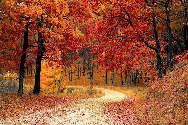 The Power of Authentic Gratitude