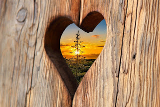 Understanding the Distinction Between Pride and Love: Implications for Mental Wellness
