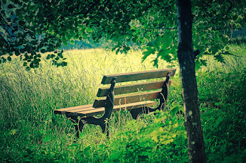 To Know or Not to Know: The Tension Between Truth, Identity, and the Bliss of Unknowing