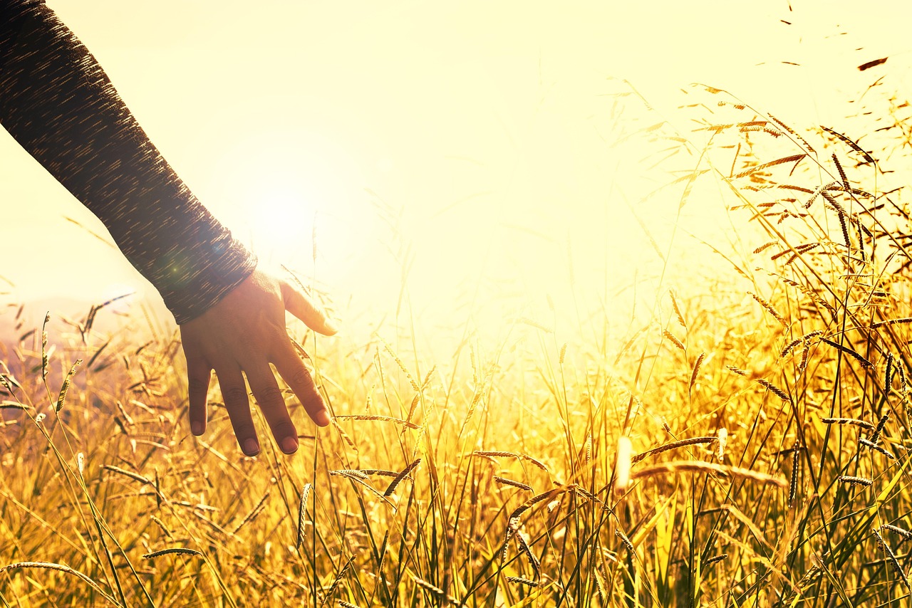 The Pivot Point: Discovering the Power in the Pause