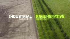 Seeding Change: Cultivating Our Common Ground – From the Inside Out