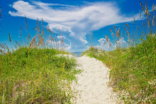 Finding Our Way: The Courage to Lead, Starts from Within