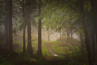 Living in the Space of Plausibility: How Embracing Both Knowing and Not Knowing Shapes Our Becoming