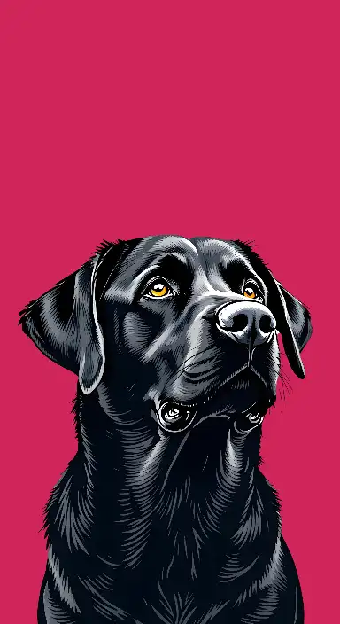 Bold Illustration of a Black Labrador Retriever