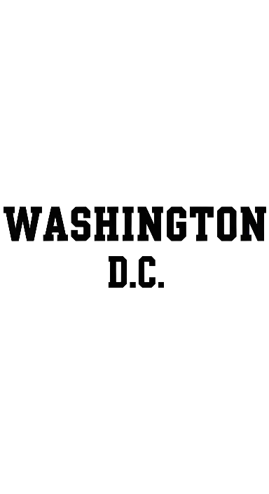 Minimalist Typography Washington LLC Logo for Professional Branding - portrait - width: 3072px, height: 5632px