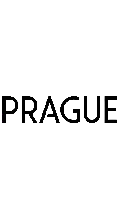 Minimalist Digital PACE Wordmark with Dotted Texture for Modern Brands - portrait - width: 3072px, height: 5632px