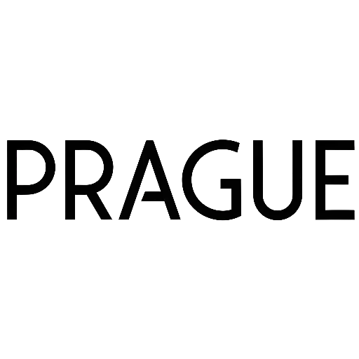 Minimalist Digital PACE Wordmark with Dotted Texture for Modern Brands