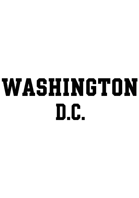 Minimalist Typography Washington LLC Logo for Professional Branding