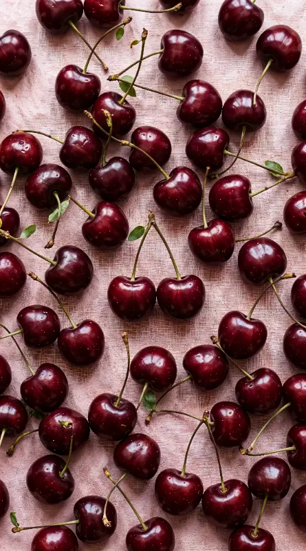Photographic Scattered Cherries with Green Leaves and Textured Pink Background
