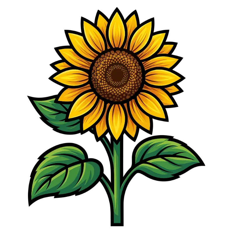 Stylized Vector Sunflower Illustration with Bold Black Outlines