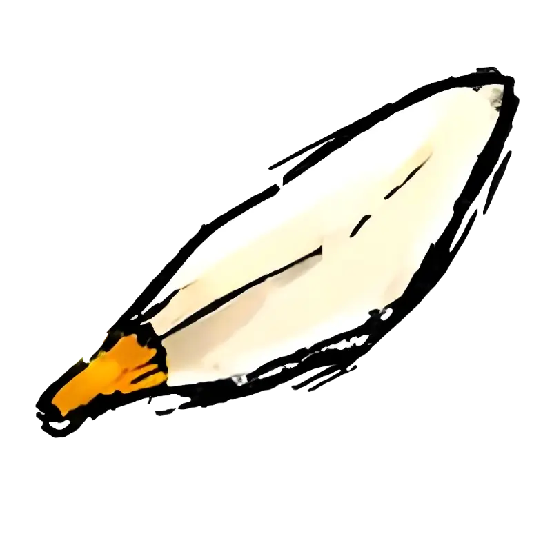 Hand-drawn Cuttlebone Illustration for Natural Pet Supplies