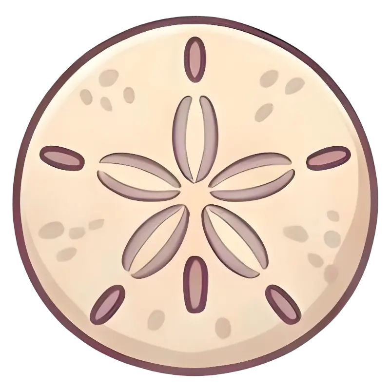 Beige and Brown Five-Petal Sand Dollar Ocean Creature Illustration