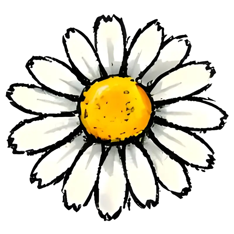Hand-drawn Daisy Flower Graphic for Cheerful Designs