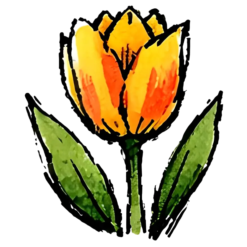 Watercolor Tulip Illustration: Vibrant Yellow Orange Botanical Art