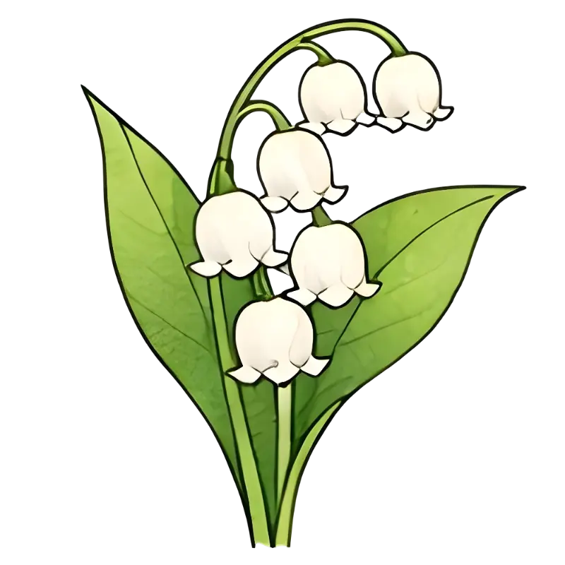 Stylized Botanical Lily of the Valley Illustration Graphic for Delicate Designs