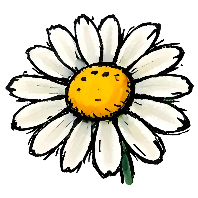 Hand drawn daisy illustration: simple, playful flower art