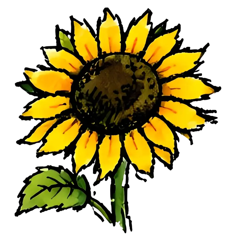 Watercolor Hand-drawn Sunflower Illustration, Joyful Botanical Art