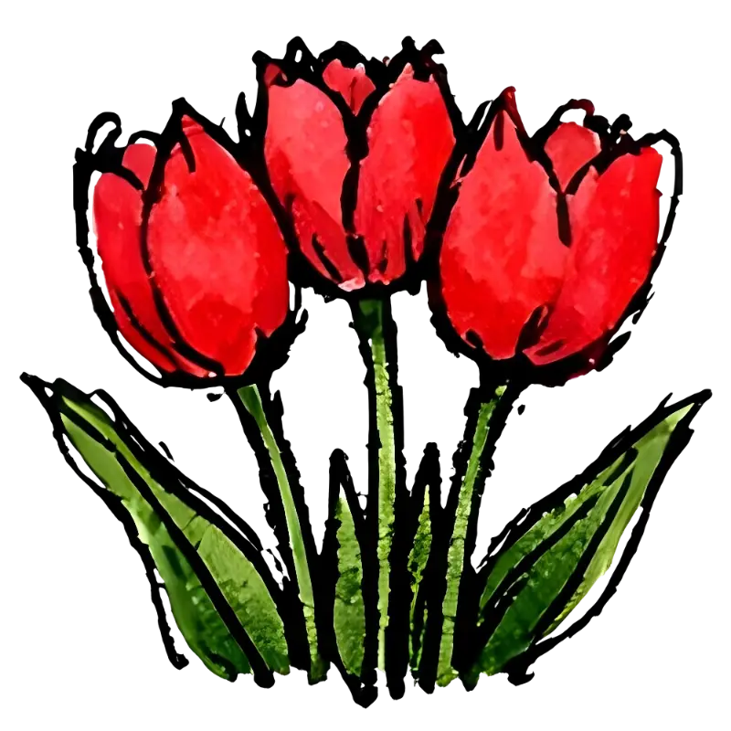 Vibrant Botanical Watercolor Sketchy Three Red Tulips Art Print
