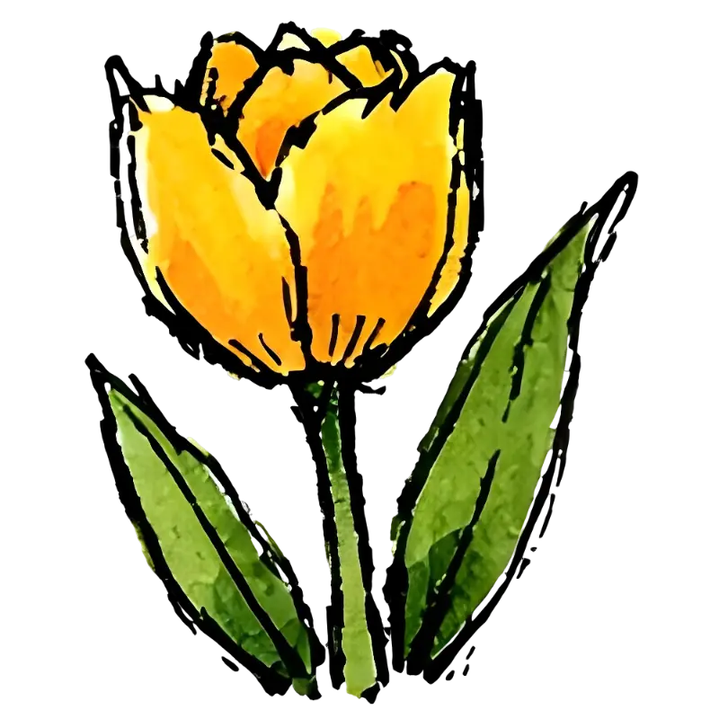 Watercolor Yellow Tulip Illustration for Cheerful Spring Designs
