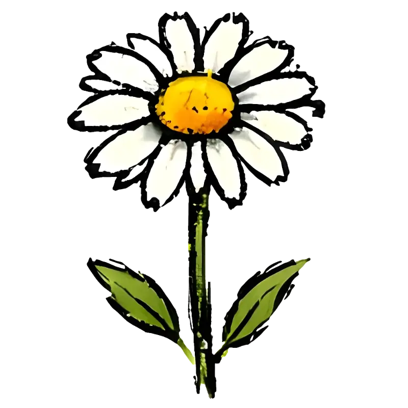 Whimsical Hand-drawn Daisy Illustration, Watercolor Texture