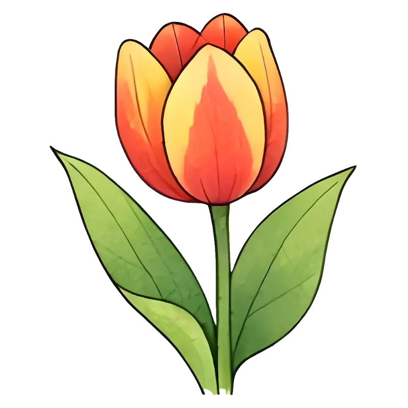 Watercolor Tulip Flower Illustration with Black Outlines