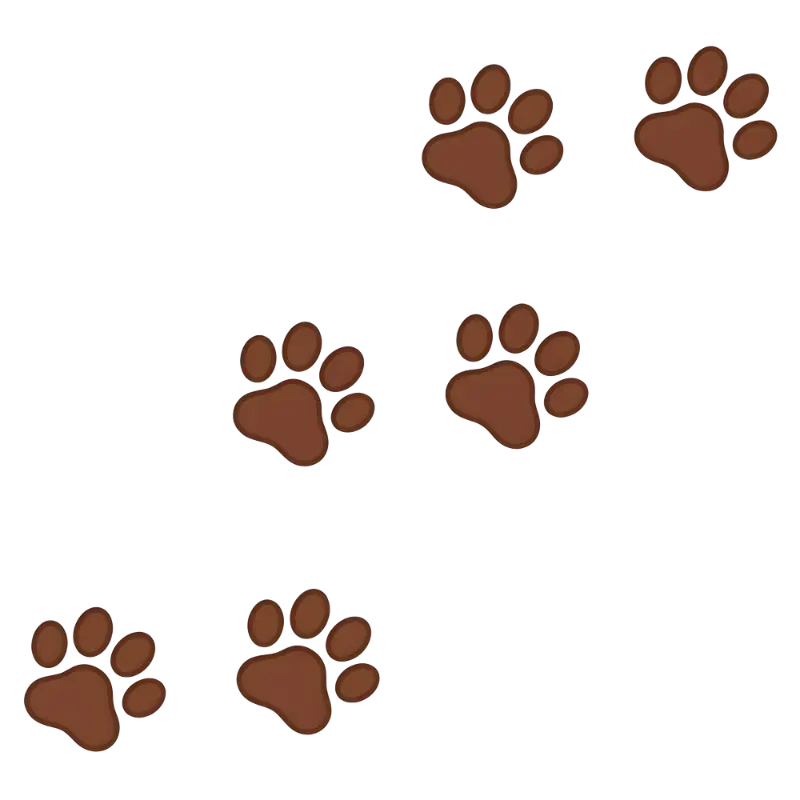Cute Graphic Style Brown Rounded Paw Prints with Dark Outlines