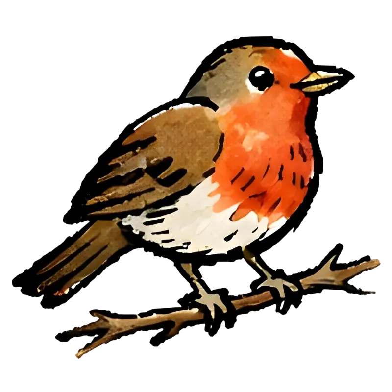 Watercolor Robin Bird on Branch Illustration: Charming Red Breast
