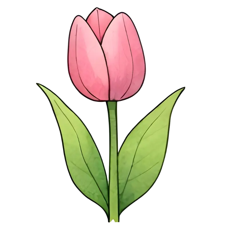 Pink Tulip Illustration Watercolor Effect Spring Graphic